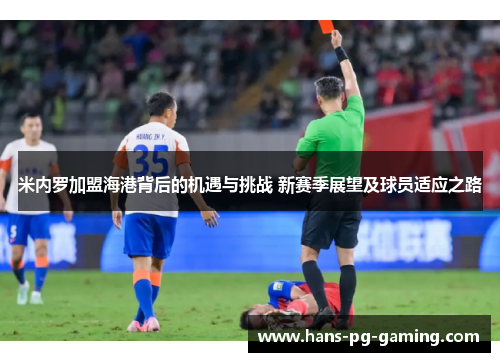 米内罗加盟海港背后的机遇与挑战 新赛季展望及球员适应之路 米内罗加盟海港背后的机遇与挑战 新赛季展望及球员适应之路