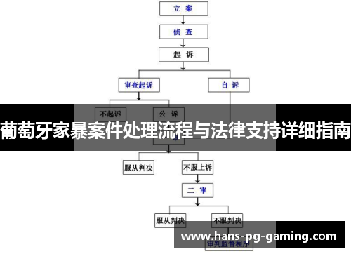 葡萄牙家暴案件处理流程与法律支持详细指南